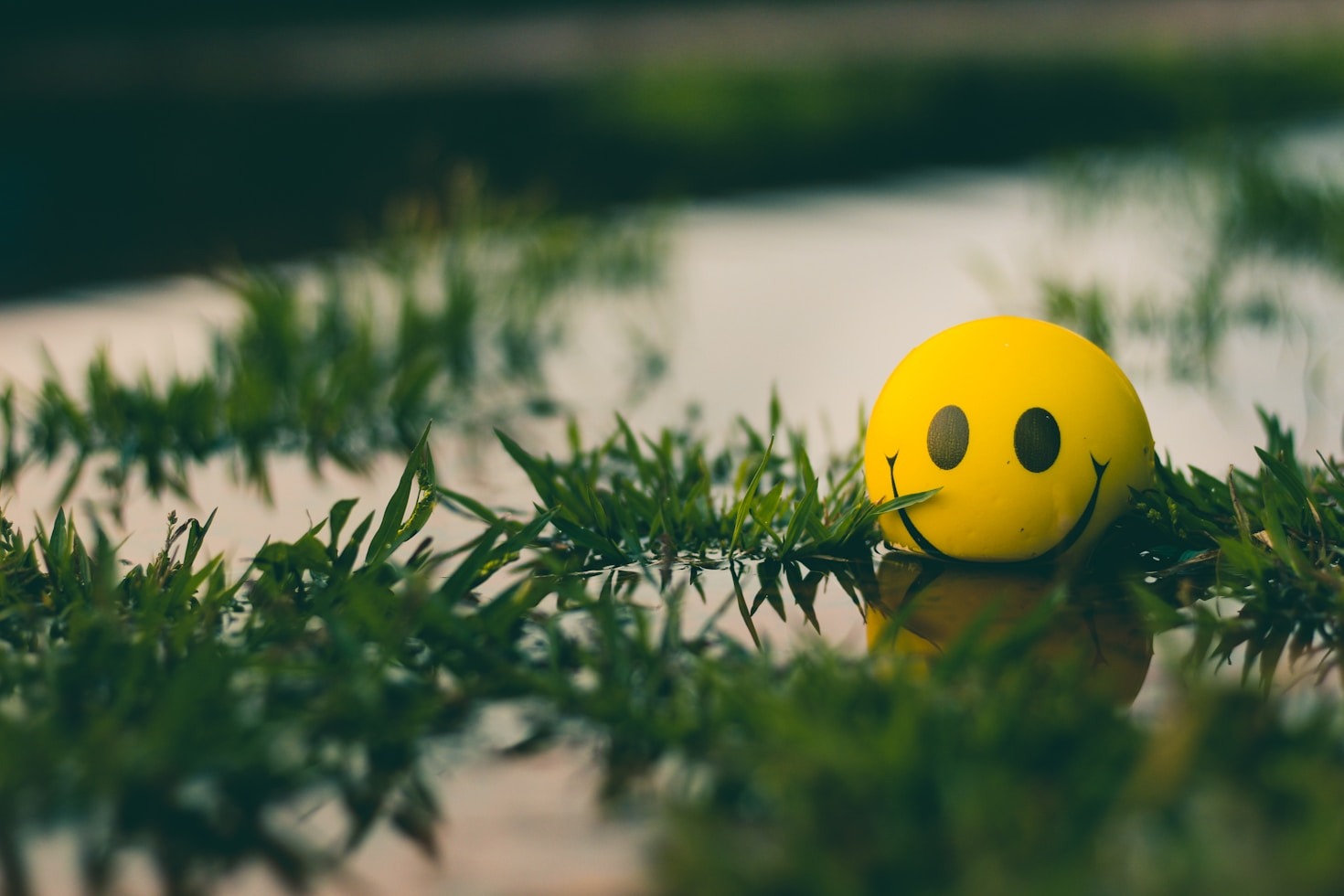 Top Resources to Kickstart Your Inspiration